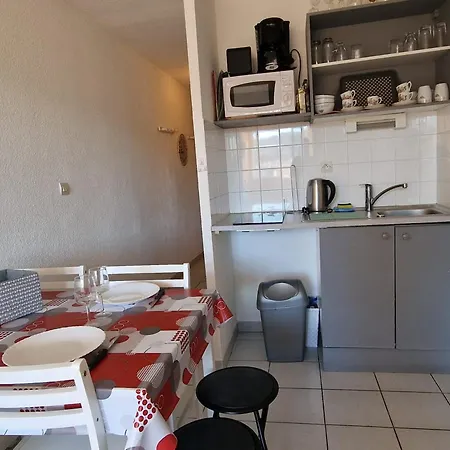Bel T2 A Avec Terrasse Et Parking Prive - Fr-1-309-146